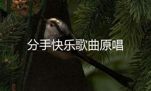 分手快乐歌曲原唱